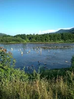 IMG_20210708_190626_HDR.webp