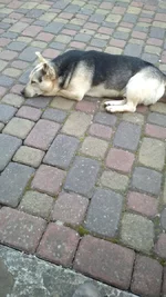 IMG-19aa3f943185e6b4a7e706d760b35689-V.webp