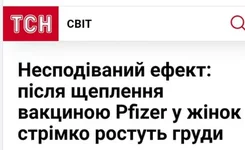  000.webp