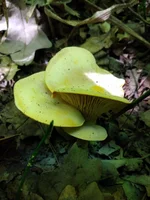 IMG_20210713_103006.jpg