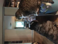 IMG_20210710_145813.webp