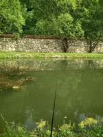 IMG_20210714_181558_HDR.webp