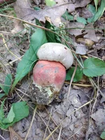 IMG_20210725_111123.webp