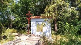 IMG_20210725_130233.webp