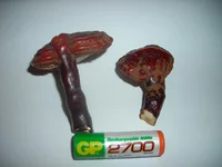 DSCN7327.jpg