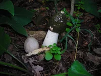 DSCN6996.jpg