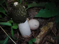 DSCN6997.webp
