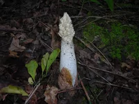 DSCN6993.webp
