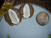 DSCN7007.webp