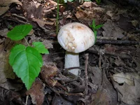 DSCN6811.jpg
