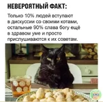 FB_IMG_1627760771194.webp