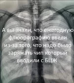 .webp