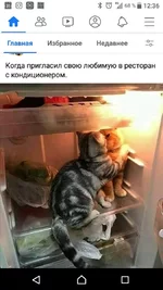 Screenshot_20210802-123608.webp