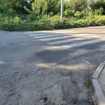 230858035_247287273730393_5986287491740260215_n.webp