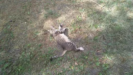 IMG_2021-08-06_151812.webp