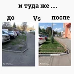 .webp