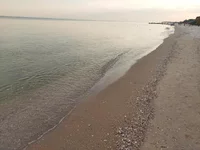 20210814_190441.webp
