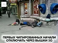 .webp