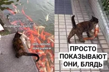 ffr10f8yK_w.webp