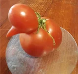 20170805_130347.webp