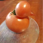 20170805_130337.webp
