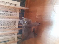 20210810_114322.webp