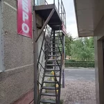 241004800_427394498703692_1395715339444349556_n.webp
