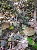 IMG_20210901_130159.webp