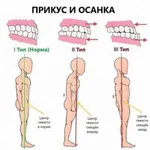 image_6483441.webp