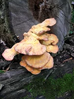 IMG_20210904_104036.jpg
