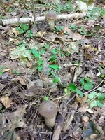 IMG_20210907_105542.webp