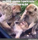 6f54ac052815c2947c1c04b8497bcda1.webp