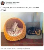 574488467_.jpg.64c18bf52b6578509f419fe400c493bc.webp