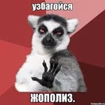 images.webp