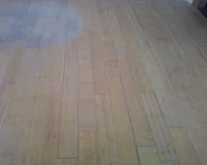 -0004.webp