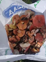 IMG_20210912_131845.webp