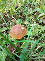 IMG_20210913_132033.webp