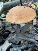 IMG_20210913_140358.jpg