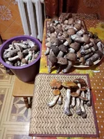IMG_20210913_193101.webp