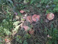 IMG_20210912_125800.webp