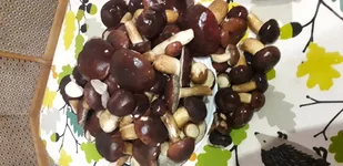 20210916_215117.webp