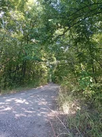DSC_0018.jpg