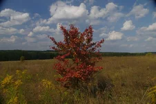 IMG_20210919_193810_590.jpg