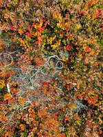 20190928_020711_remastered.webp
