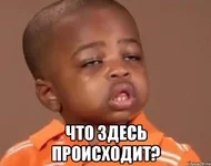 1231.webp