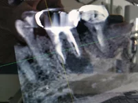 2021-09-14 13.43.35.webp