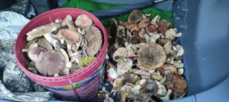 IMG_20210930_162240.webp