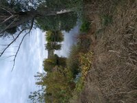 IMG_20210925_180454.jpg