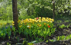 DSC_0045 — копия.webp
