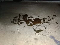 20211003_141209.webp